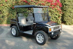 affordable golf cart rental, golf cart rent round rock golf cart rental