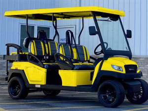 golf cart rental round rock, round rock golf cart rental